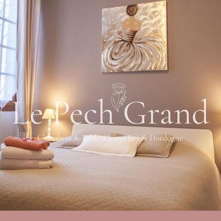 Chambres & Tables D'Hotes Le Pech Grand Saint-Sozy Экстерьер фото