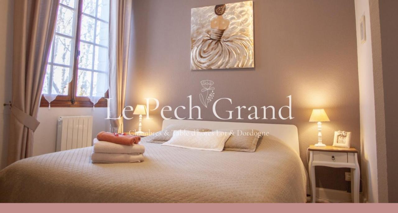 Chambres & Tables D'Hotes Le Pech Grand Saint-Sozy Экстерьер фото